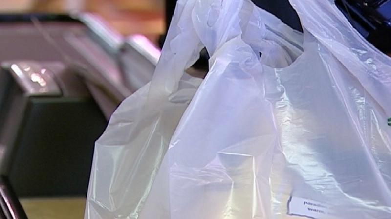 Unión Europea busca reducir uso de bolsas plásticas en 80 %