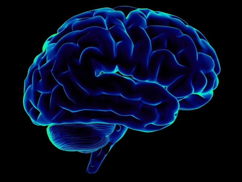 Chips en el cerebro permitirán curar enfermedades y escribir con la mente
