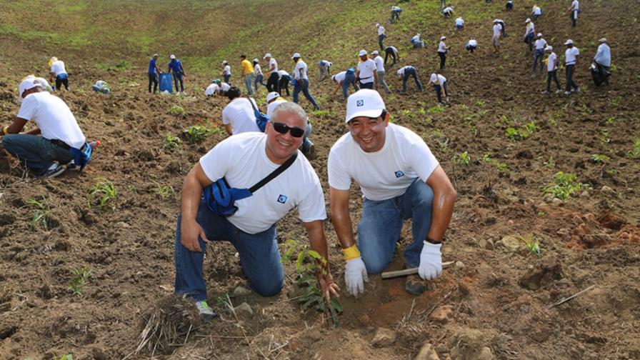 El Popular siembra 5,260 plantas de caoba