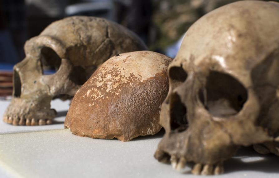 Un cráneo hallado en Israel arroja datos sobre los primeros humanos europeos