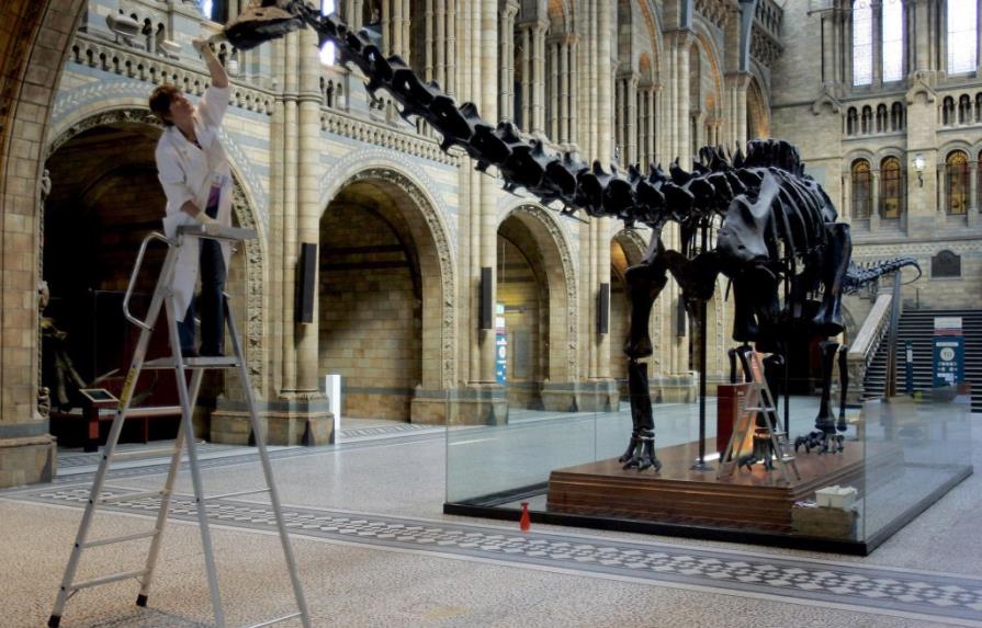 Adiós al dinosaurio: seguidores lamentan un cambio en museo