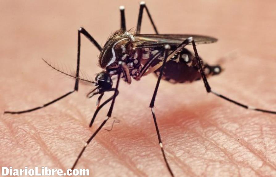Especialista: zika, menos agresivo que el dengue